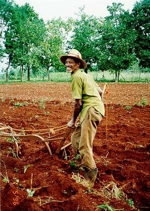 cuban farmer