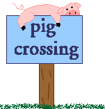 pig crossing cartoon